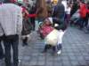 dsc00489_small.jpg